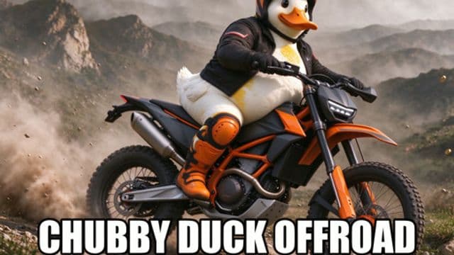 Chubby Duck Offroad